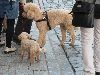 (Bild)