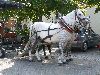 (Bild)