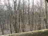 (Bild)