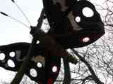 (Bild)