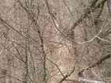 (Bild)