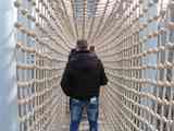 (Bild)