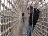 (Bild)
