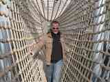 (Bild)