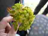 (Bild)