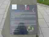 (Bild)