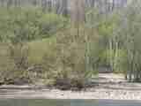 (Bild)