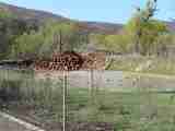 (Bild)