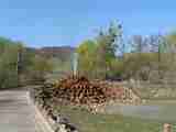 (Bild)