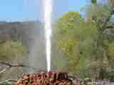 (Bild)