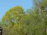 (Bild)