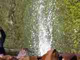 (Bild)