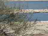 (Bild)