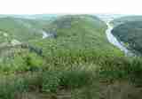 (Bild)