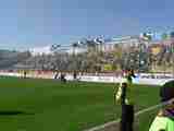 (Bild)