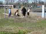 (Bild)