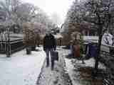 (Bild)