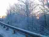 (Bild)