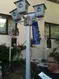 (Bild)
