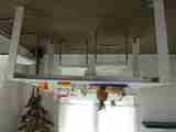(Bild)