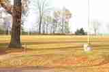 (Bild)