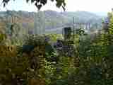 (Bild)