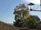 (Bild)