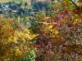 (Bild)