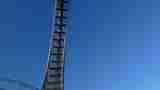 (Bild)