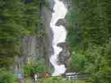 (Bild)