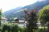 (Bild)