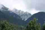 (Bild)