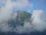 (Bild)