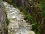 (Bild)