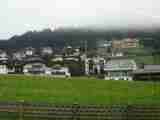 (Bild)