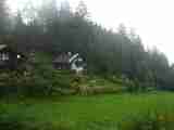 (Bild)