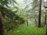 (Bild)