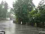 (Bild)