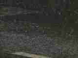 (Bild)